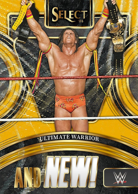 2024 Panini Select WWE Wrestling International Hobby Box - underpaidcollectibles