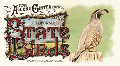 2025 Topps Allen & Ginter Baseball Value Blaster Box - underpaidcollectibles