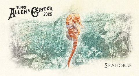 2025 Topps Allen & Ginter Baseball Value Blaster Box - underpaidcollectibles