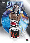 2025 Topps Exalted WWE Hobby Box - underpaidcollectibles