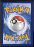 Pokémon Sammelkartenspiel: Ns Zoroark EX (286/217) - Einzelkarte (DE) - hinten