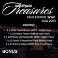 underpaid Treasures Wrestling WWE Pack Edition August 2024 - underpaidcollectibles